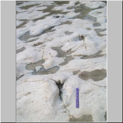 100_0301 (2009-25-07).JPG